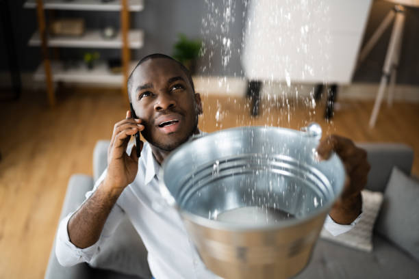 Best Water damage restoration near me  in Eton, GA