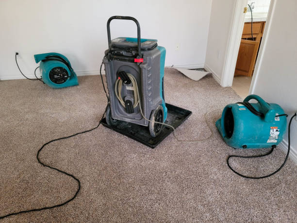 Trusted Eton, GA Water damage restoration Experts