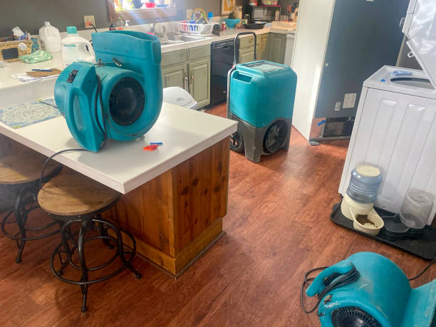Best Water damage mitigation services  in Eton, GA