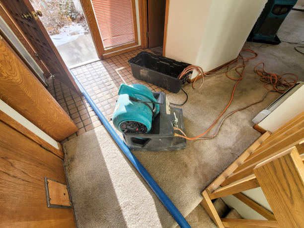 Best Ceiling water damage repair  in Eton, GA